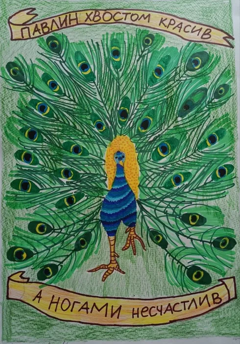 -5350711060006114836_121