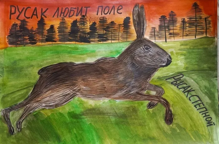 -5330032501872858690_121