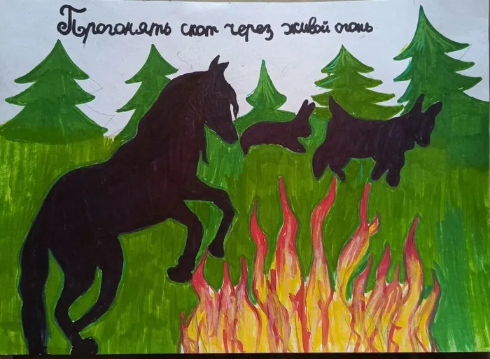 -5350711060006114835_121